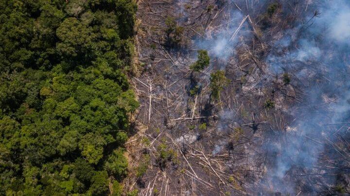 desmatamento floresta