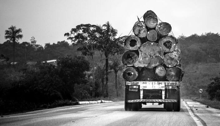 pedido de redução de multa ambiental defesa advogado