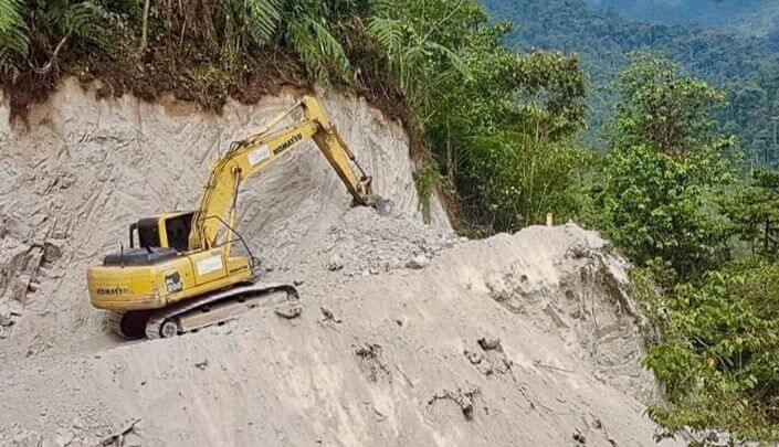 destruição de vegetação mangue floresta advogado