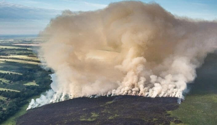 Competência para julgar Crime Ambiental praticado na Floresta Amazônica