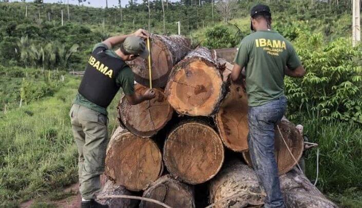 Fim do prazo de 30 dias para julgar infração ambiental anula multa