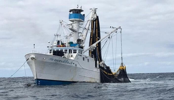 Pescar periodo proibido crime ambiental pesca proibida