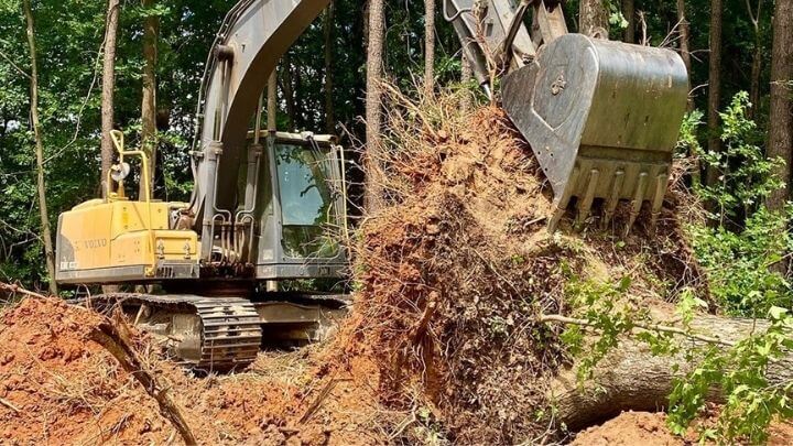 reducao do valor da multa ambiental desproporcional