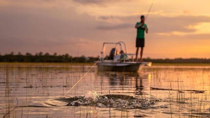 princípio da insignificância pesca