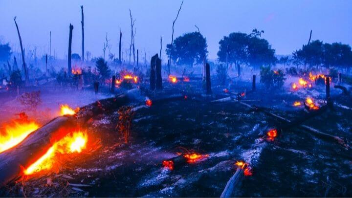 INDENIZAÇÃO E COMPENSAÇÃO AMBIENTAL