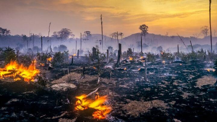 Responsabilidade administrativa ambiental é subjetiva