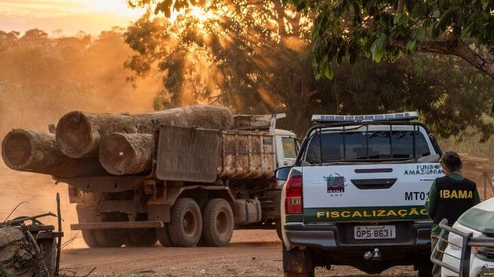 Ação civil pública deverá provar o prejuízo por dano ambiental sofrido pela coletividade