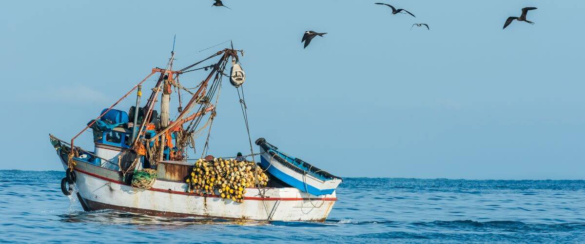 Competência para julgar crime ambiental de pesca em rio estadual