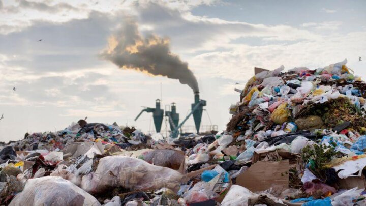 A proporcionalidade como limitador da multa ambiental