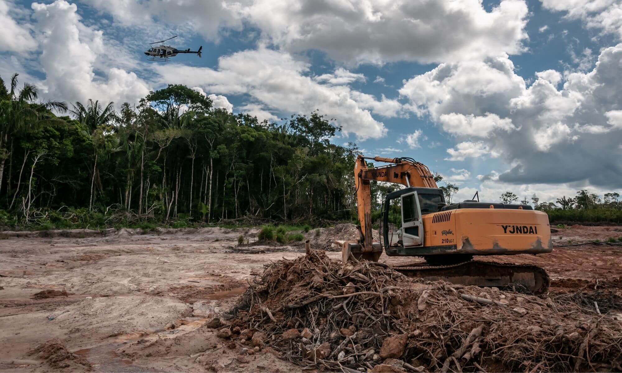 auto de infração ambiental como do termo de embargo