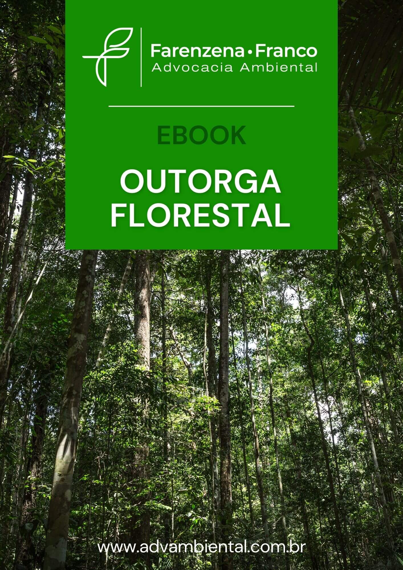 outorga florestal