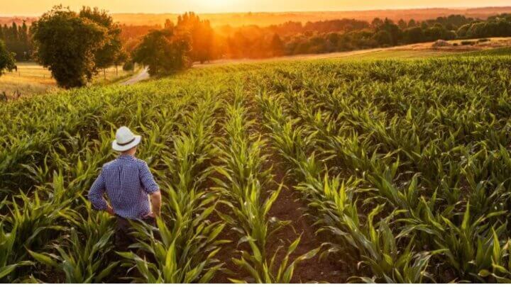 Cadastro Ambiental Rural