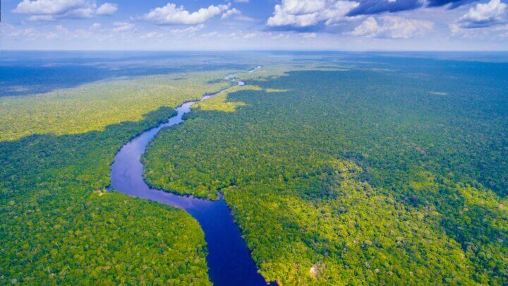 Turma do TRF-1 entende que Floresta Amazônica é bioma especial de preservação e proteção ambiental