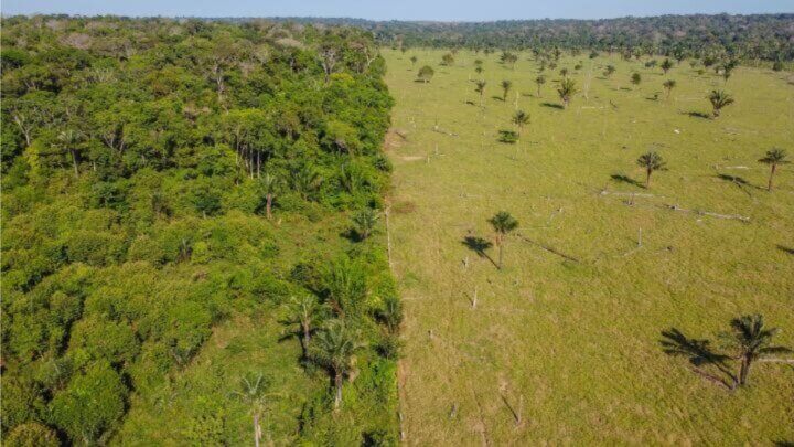 Responsabilidade civil ambiental NÃO é propter rem