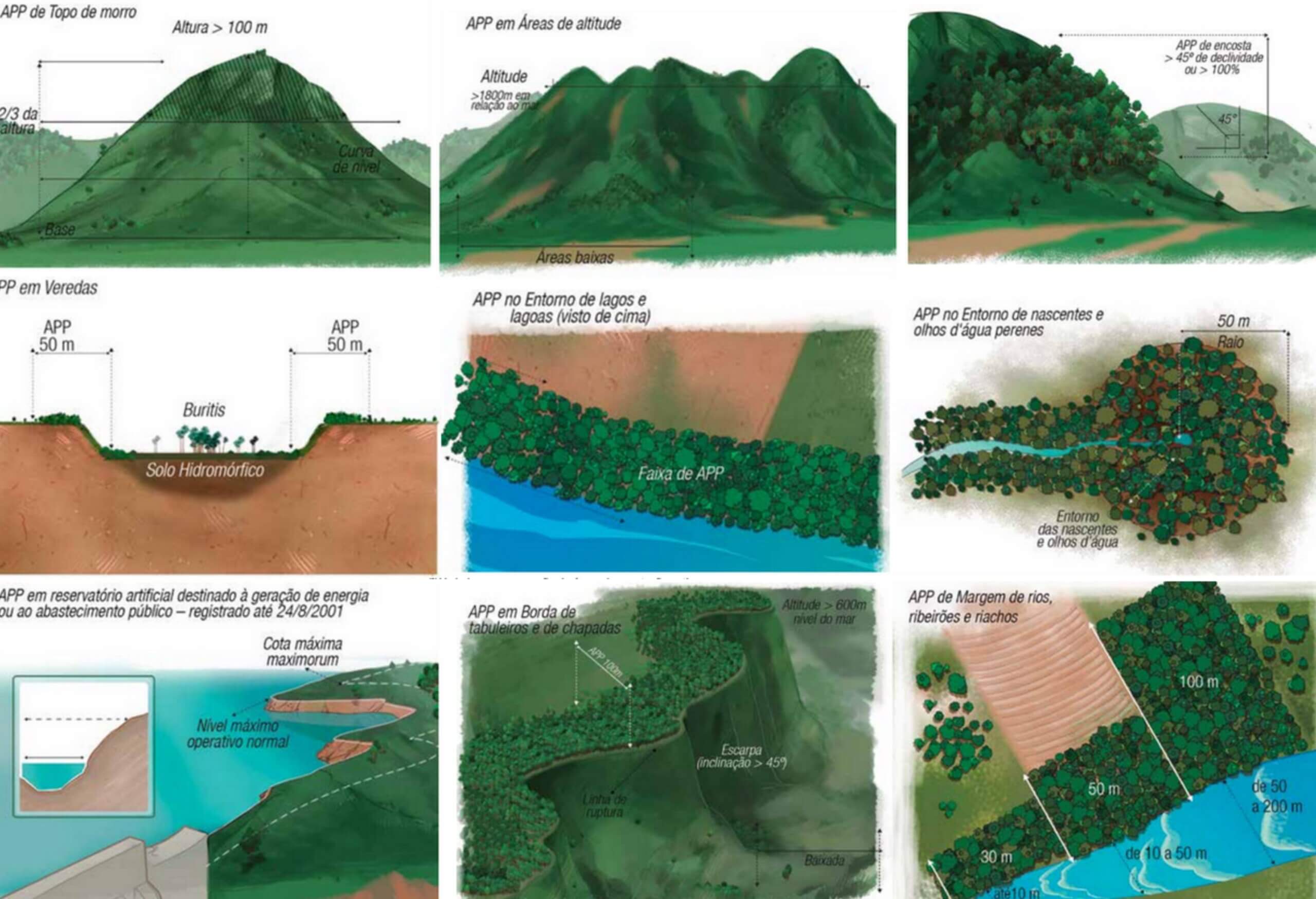 11 Tipos De Área De Preservação Permanente Apps Completo 7648