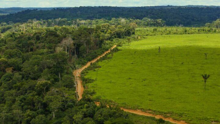 Programa de Regularização Ambiental