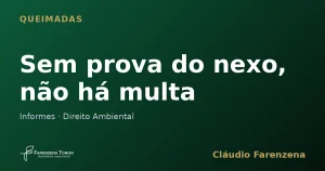 Auto de infracao por queimada anulado sem prova do nexo