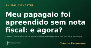 Papagaio de estimação em ambiente doméstico, ligado a apreensão de animal silvestre