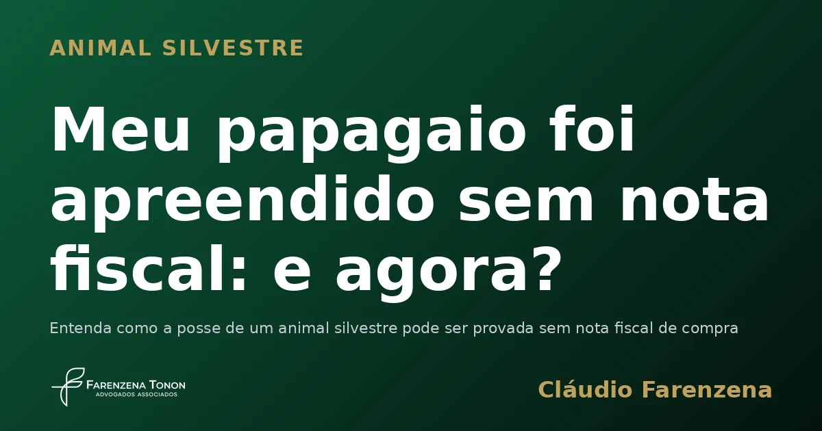 Papagaio de estimação em ambiente doméstico, ligado a apreensão de animal silvestre