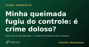 Produtor rural diante de area queimada apos incendio florestal