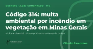 Capa: código 314 do Decreto 47.383/2018, multa ambiental por incêndio em florestas e demais formas de vegetação em Minas Gerais